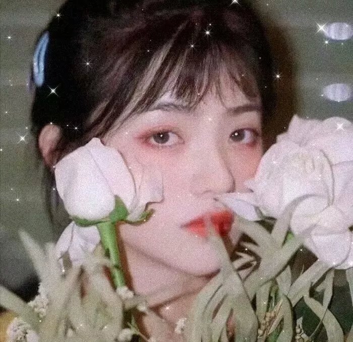 最爱2019